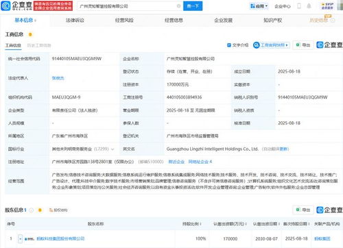 螞蟻集團(tuán)成立靈知智慧控股公司，注冊(cè)資本17億進(jìn)軍科技中介服務(wù)