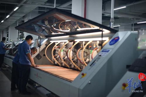 揭秘惠州這家企業(yè)如何連續(xù)6年營收增長30%以上 沿著高速看中國廣東科技中介服務